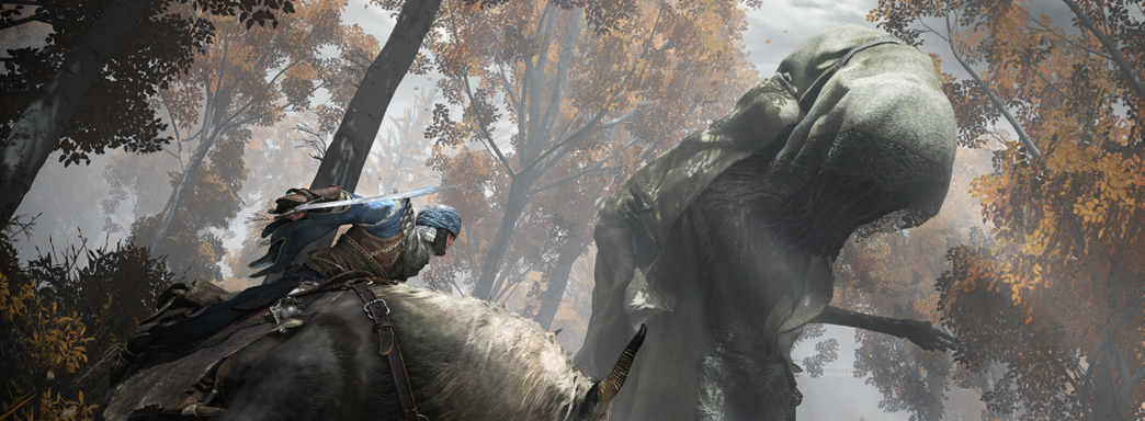 Фанаты Elden Ring обсуждают промежность лошади на некачественном скриншоте