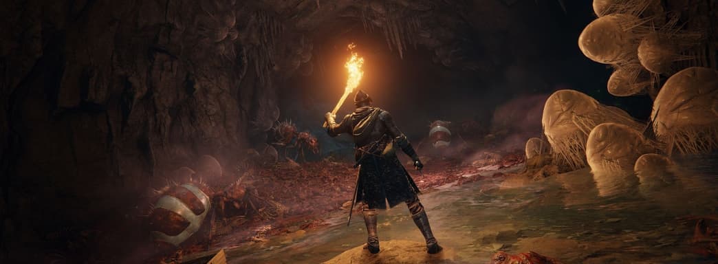 Участники сетевого теста Elden Ring видели чуть больше одной десятой от всей карты игры. Без учета подземелий