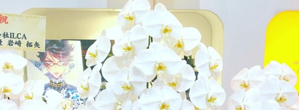 К главе Xbox обратился создатель Bayonetta и отменённой Scalebound. Он хочет вновь поработать вместе