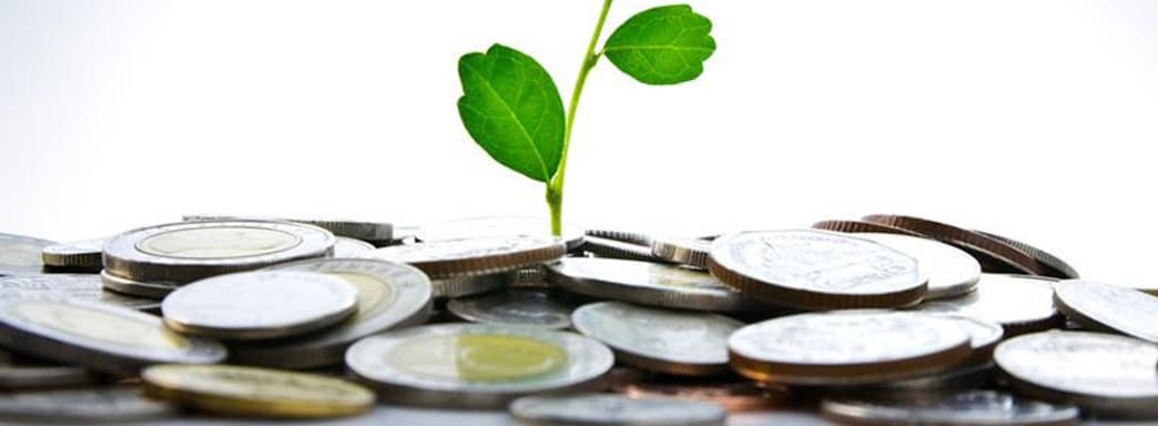 Kickstarter завершил 2021 год с рекордным количеством профинансированных игр