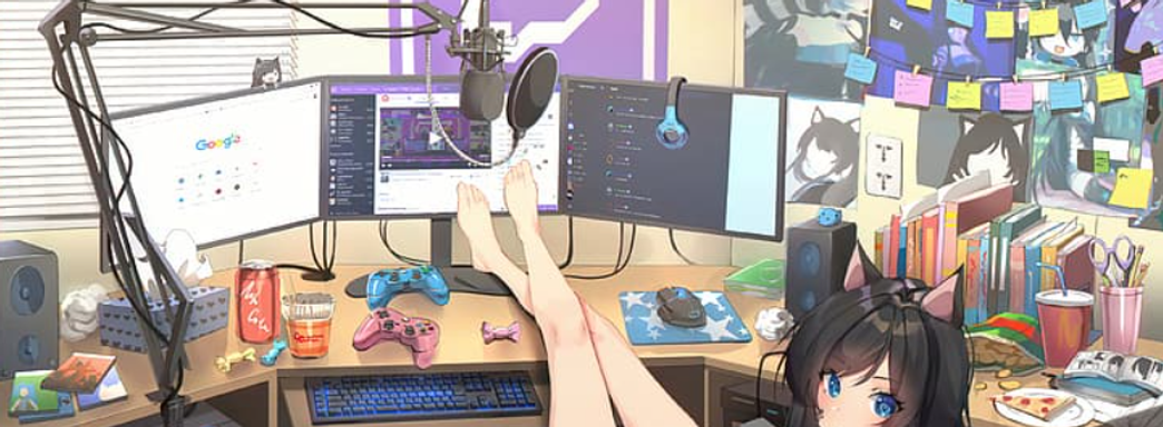 Девушки-геймеры в России выбирают гонки и разнообразные симуляторы