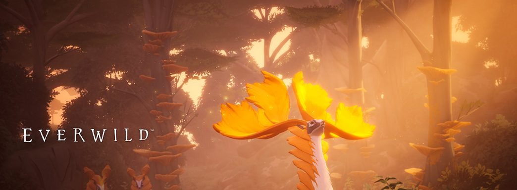 У консольного эксклюзива Xbox Everwild появился новый геймдизайнер