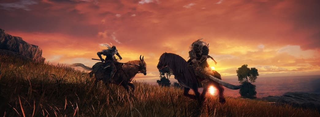 Создатели Elden Ring жалуются на сложные условия работы и низкую зарплату