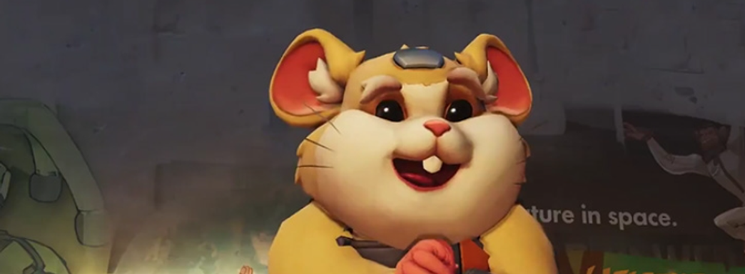 Blizzard удалила хомяка Тарана из беты Overwatch 2 — его удары выбрасывали из игры