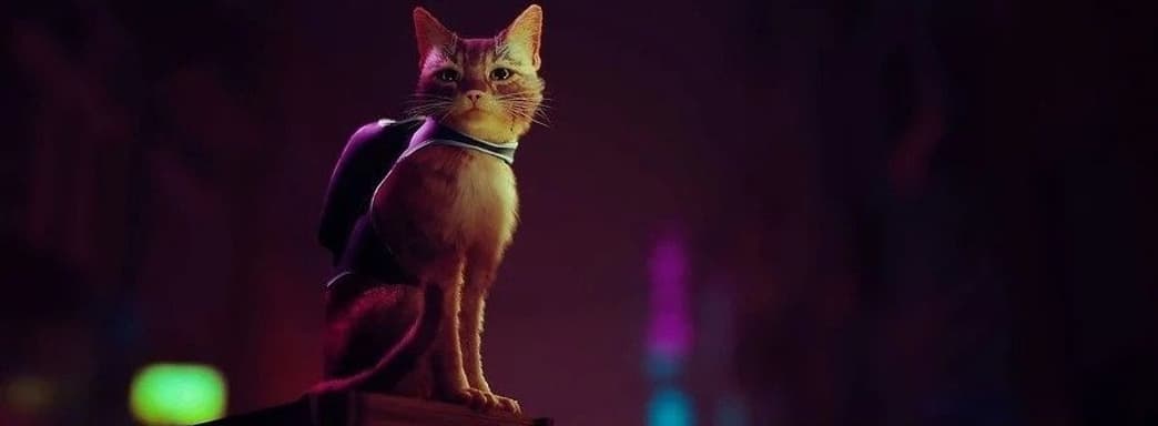 В базе данных PSN появилась дата выхода киберпанк-игры про котика Stray