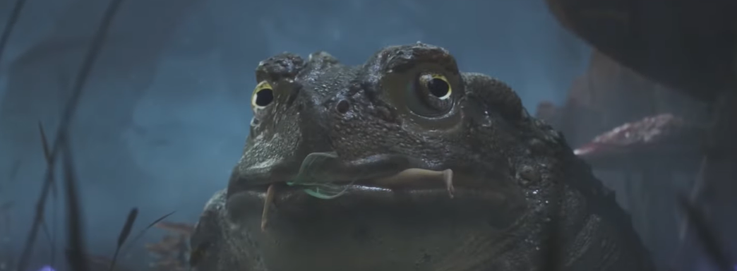 Продюсер Fable фактически признала производственный ад и считает такую разработку «нормой»