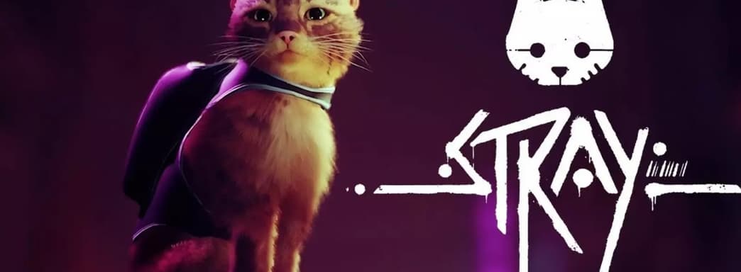 Стань котом в футуристическом городе. Приключение Stray выйдет в июле