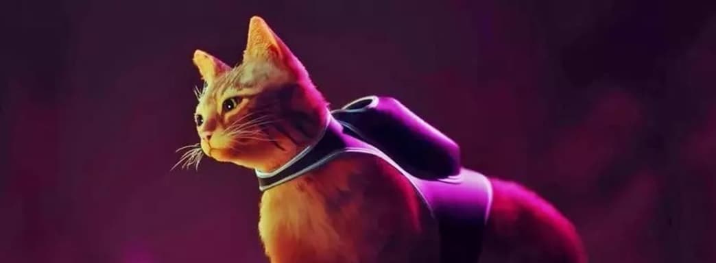 Кот – не единственный главный персонаж Stray. Игровой процесс футуристического приключения
