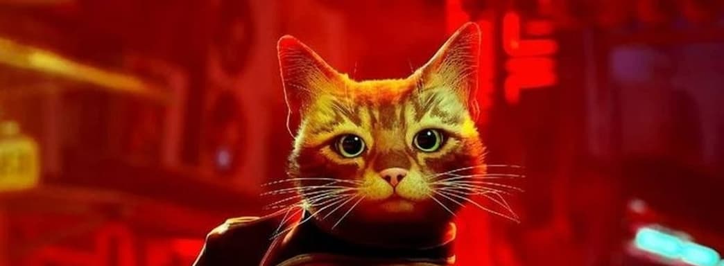 Кошачье киберпанковское приключение Stray будет непродолжительным