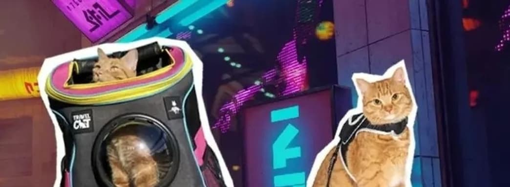 Создатели Stray выпустят специальный рюкзак для кошки