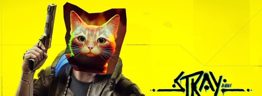 Невероятный успех Stray, что будет, если пройти 1 000 разломов в Diablo Immortal — самое интересное за 20 июля