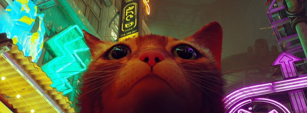 Странные надписи в Stray можно прочитать — разработан алфавит для расшифровки посланий