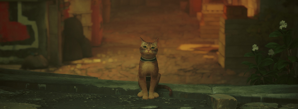 Если бы не котик… Обзор Stray