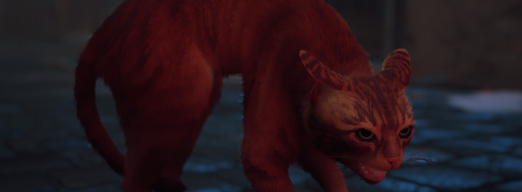 Физические издания Stray для PS5 поступят в Россию с РРЦ 4999 рублей