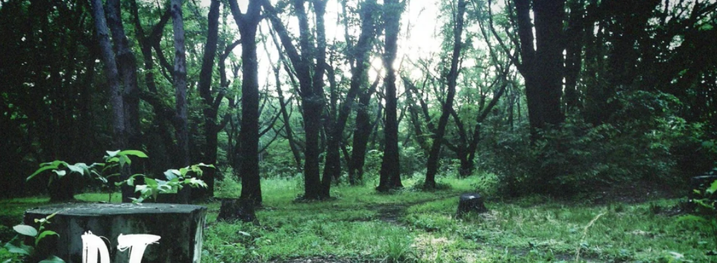 Сотрудница Konami, удалившая тизер Silent Hills P.T., рассказала, а затем скрыла свою историю