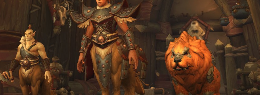 Blizzard добавит в WoW глухого персонажа. Инклюзивность обеспечит сурдопереводчик, которого тоже введут в игру