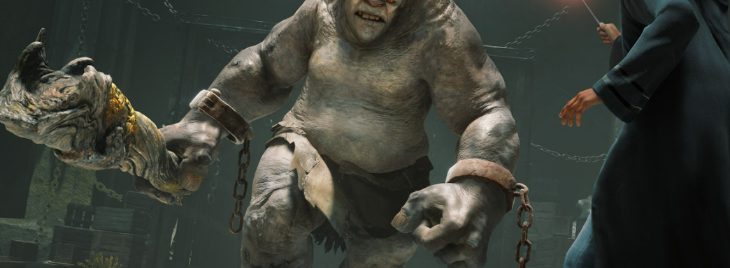 Турки раскритиковали издателя Hogwarts Legacy. Игру не продают в России, Турции и Беларуси