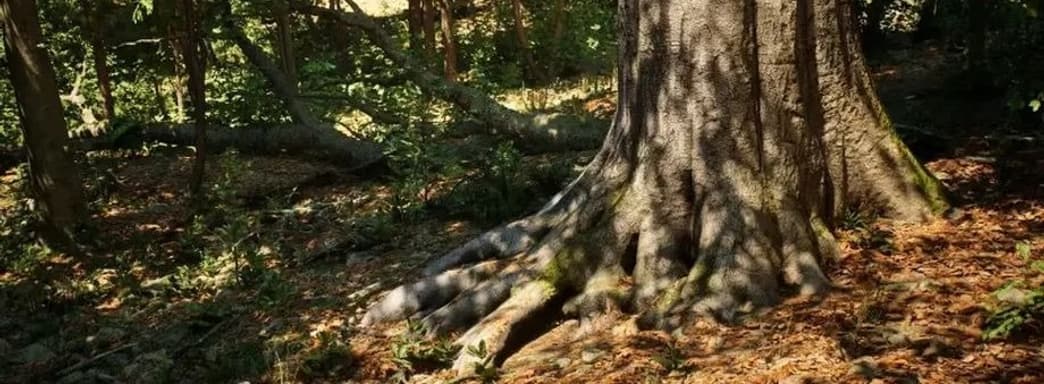 В технодемо на Unreal Engine 5 показали прогулки по лесу нового поколения