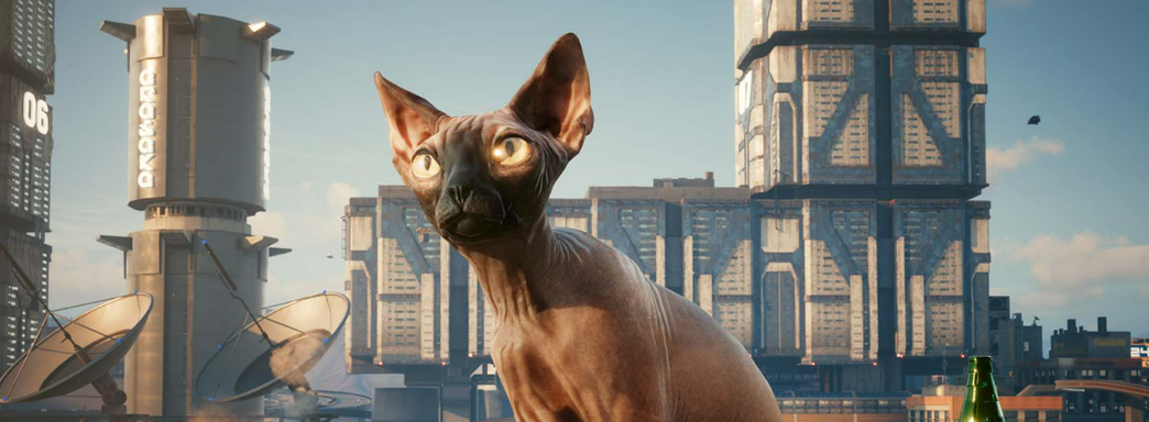 CD Projekt запустила конкурс для игроков Cyberpunk 2077: необходимо делать замуррчательные скриншоты котика