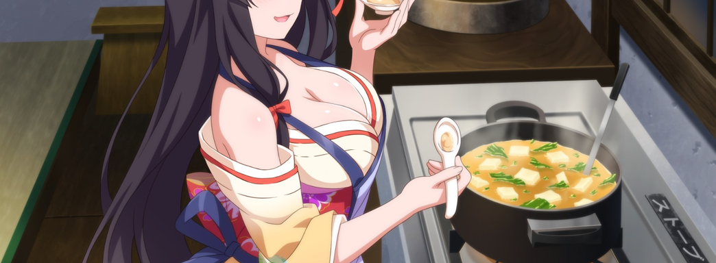 Nintendo запретила в eShop эротически игры, где есть девушки с оголённой грудью. Чтобы не вредить бренду