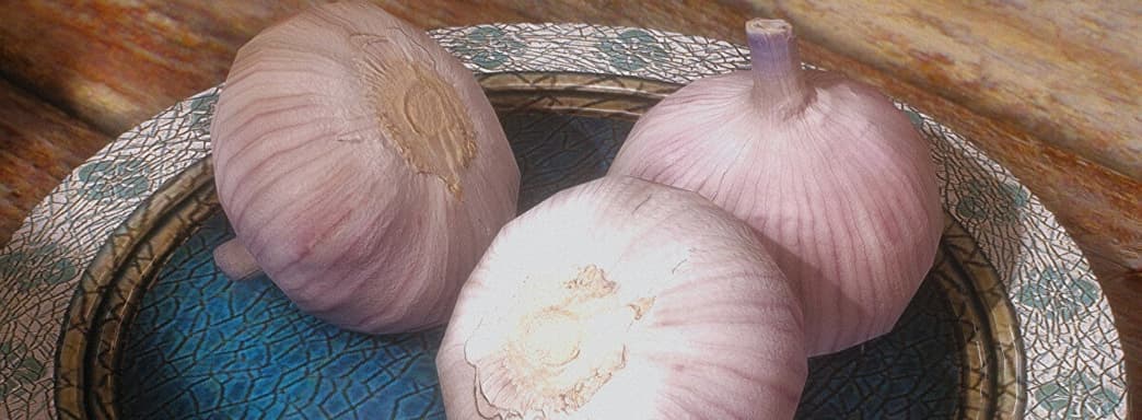 Разработчикам мода Skyrim с реалистичным чесноком пришлось упростить модели