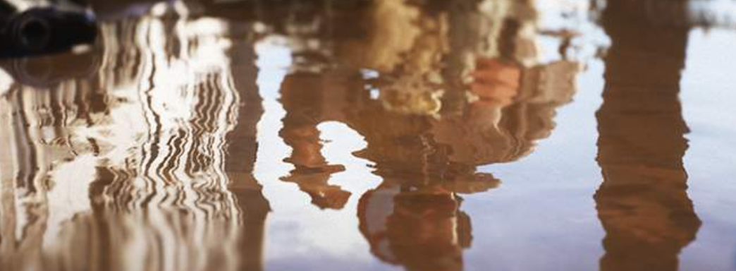 DNS будет продавать GeForce RTX 4070 Ti в России. Объявлена дата и время начала продаж