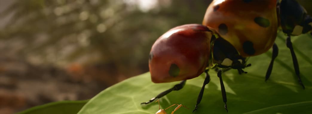 Анонсирована фотореалистичная стратегия в реальном времени о муравьях. Empire of the Ants выйдет на ПК и консолях