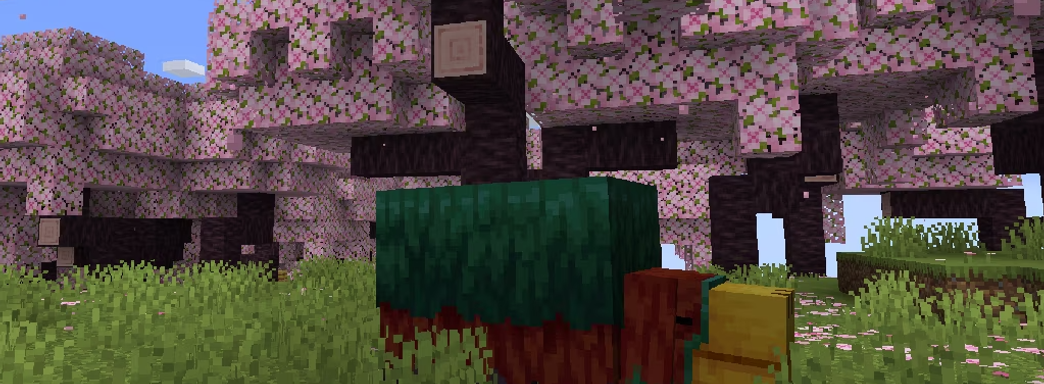 Minecraft получит новый биом. Mojang представила долгожданный контент