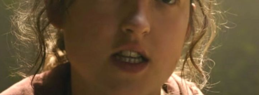 В финале The Last of Us нашли маленькую отсылку к играм Naughty Dog. Геймер ударил жену, находясь под впечатлением