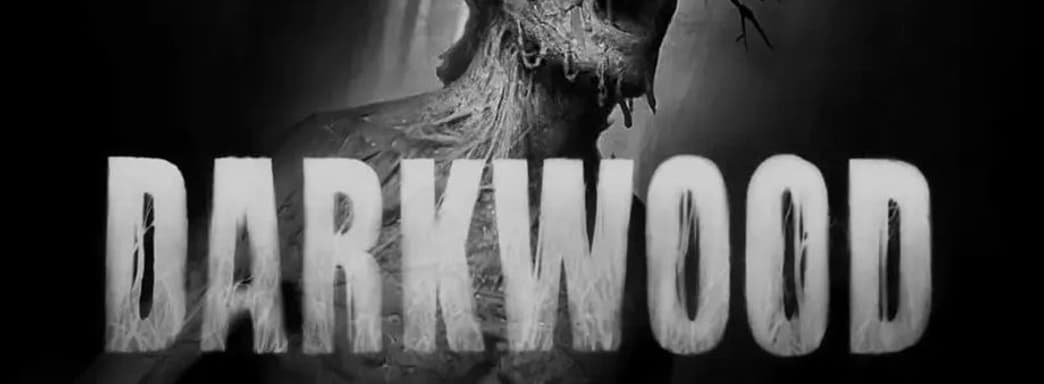 Разработчики хоррора Darkwood создают спортивную игру