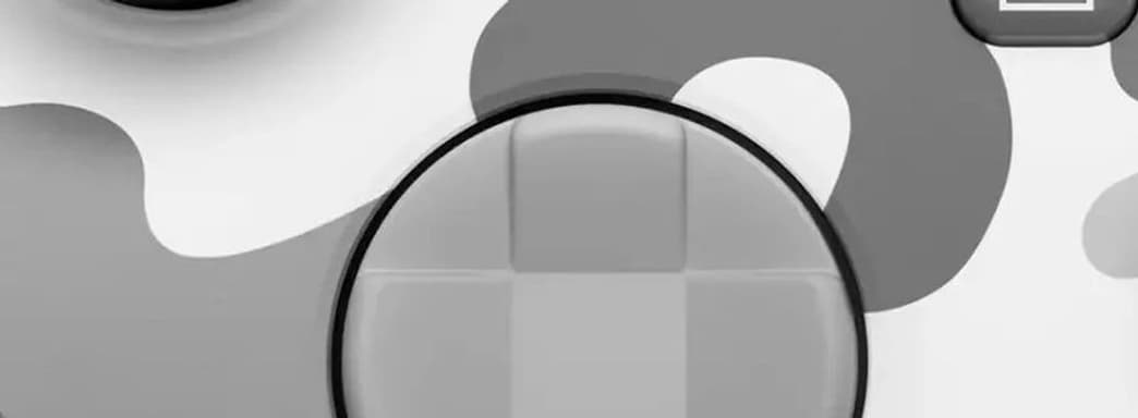 «Нам нужны эксклюзивы, а не контроллеры», но Microsoft готовит Xbox Arctic Camo Special Edition