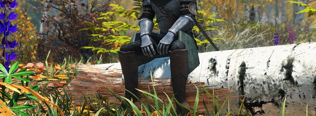 The Elder Scrolls 6 может стать последней игрой Тодда Говарда. Разработчик не молодеет