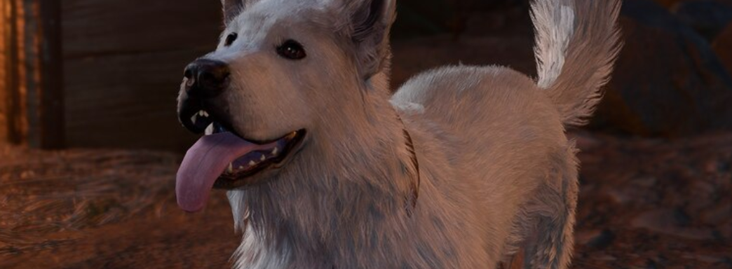 Игрок Baldur's Gate 3 развлекался с виртуальной собакой и разозлил настоящую, сидевшую рядом