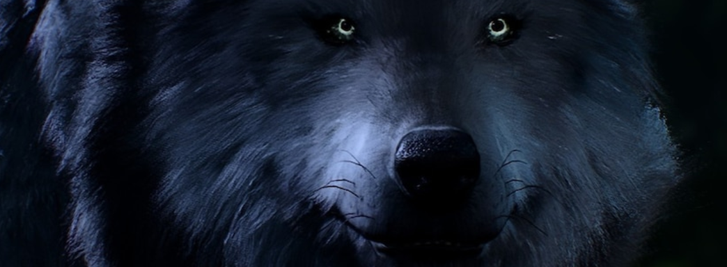 В QIWI пропала возможность пополнения баланса Steam рублями