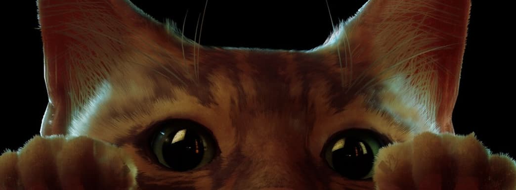 Annapurna работает над экранизацией Stray