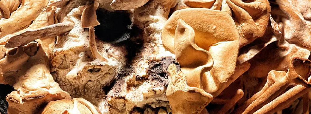 Пекари за 400+ часов создали реалистичного щелкуна из The Last of Us из хлеба