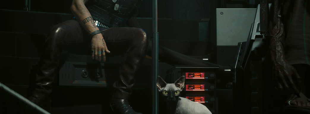 Котик-уголовник в Cyberpunk 2077. Полиция Найт-Сити разыскивает лысого преступника за кражу останков людей и убийства