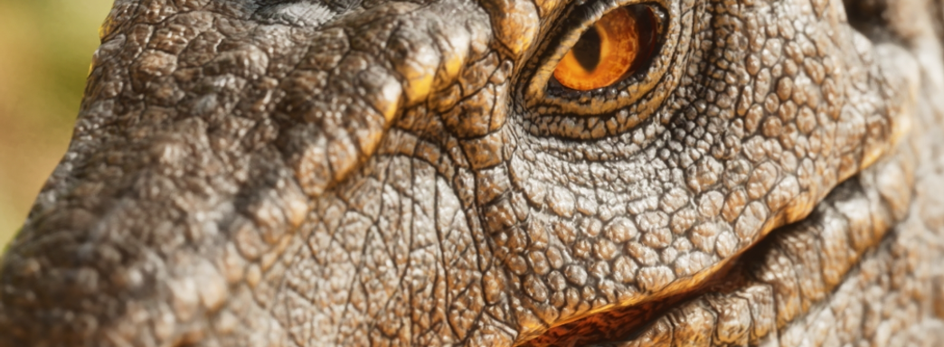 Ремастер Ark Survival Evolved на UE5: первый взгляд на динозавра в Ark Survival Ascended