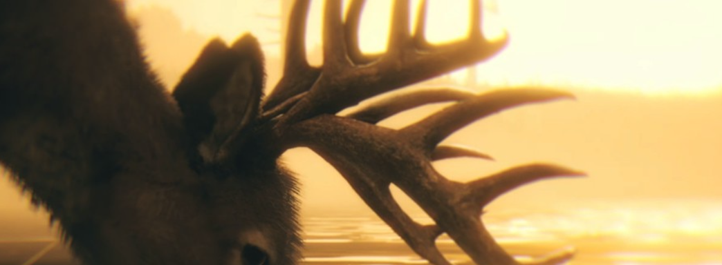 Зарабатывай, а не судись: Актёр RDR 2 посоветовал преступнику-джокеру заработать на трейлере GTA 6, а не связываться с юристами