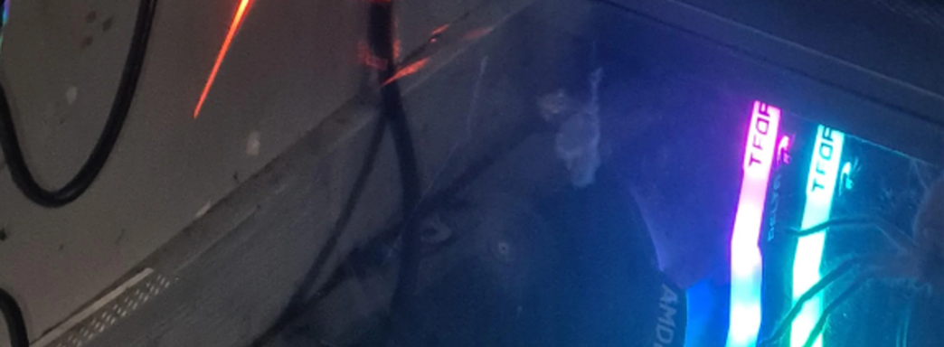 Геймер обнаружил гигантского паука в ПК. Его предложили выгнать запустив Cyberpunk 2077 с трассировкой и прогрев ПК