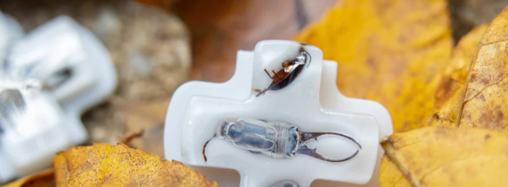 Для Steam Deck представили прозрачные крестовины с мёртвыми жуками внутри