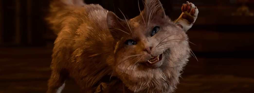 Baldur's Gate 3 полностью прошли за котиков. Игра Larian раскрылась с новой стороны