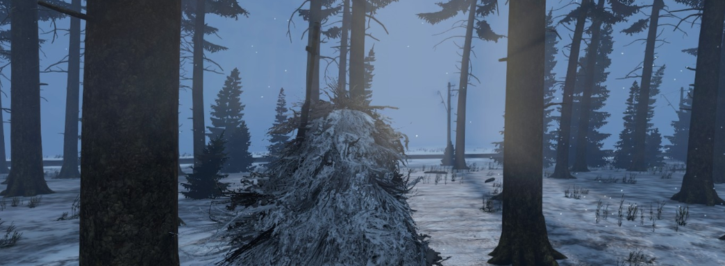 Сообщество DayZ готовится к релизу зимней карты. Bohemia Interactive зарегистрировала новую торговую марку