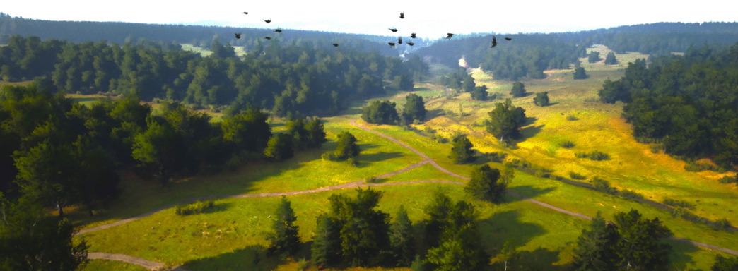 «Уйду — игра закончится»: Создатель Manor Lords ответил на критику конкурента по поводу того, что он якобы не разработчик-одиночка