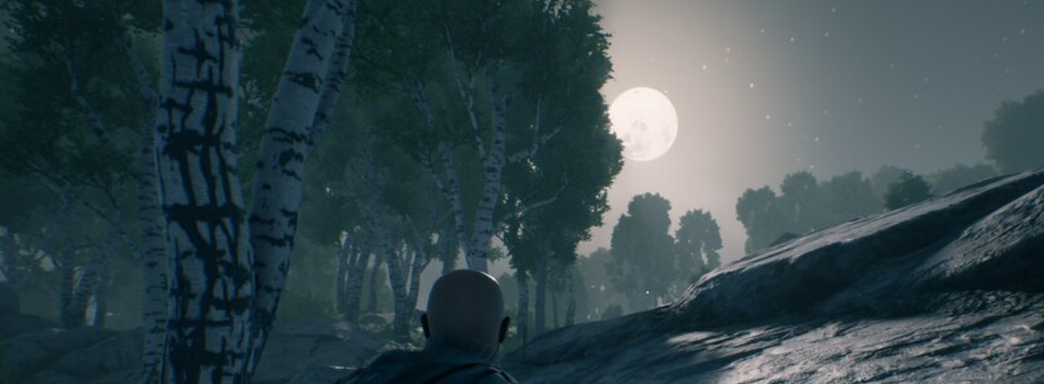 Новинка авторов DayZ и Arma рассыпается на ПК. Игроки в Vigor вынуждены менять ники в Steam, чтобы не остаться без прогресса