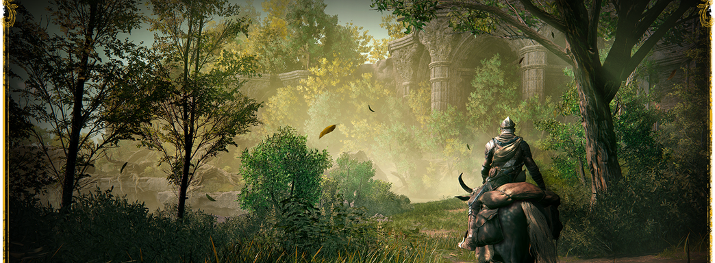 «Голышом», без магии и призывов. Блогер показал мастер-класс по прохождению Elden Ring: Shadow of the Erdtree