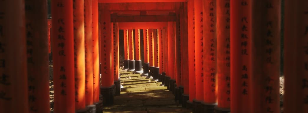 Фотореализм проник в игры. Любуемся Lushfoil Photography Sim с красивой графикой, которая разрабатывалась в течение 5 лет