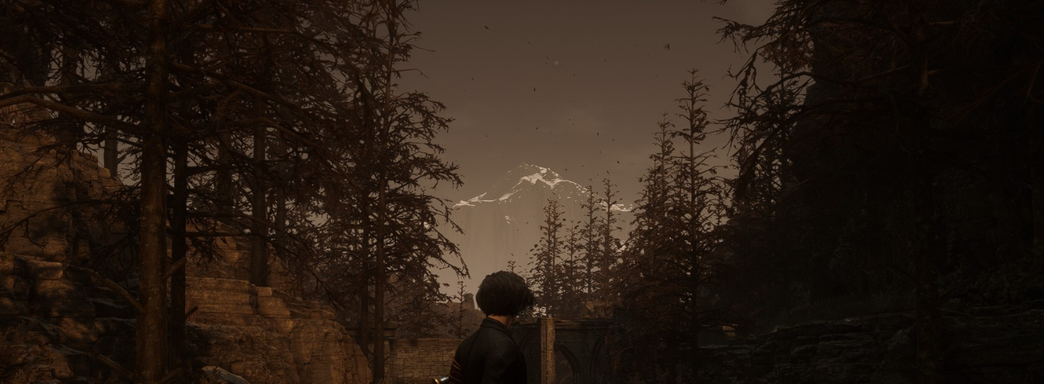 Успех Elden Ring вдохновил авторов Lies of P сделать сиквел с открытым миром — слух