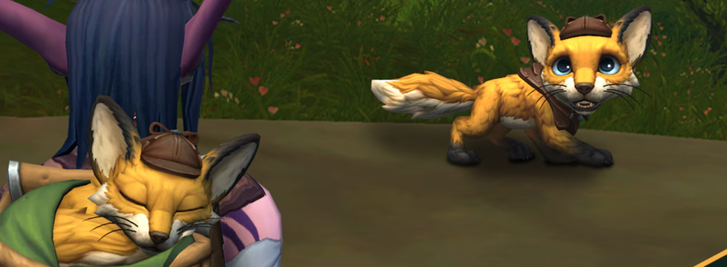 Для WoW представили благотворительный донат. Новый комплект вдохновлён фильмом «Удивительная жизнь Ibelin»