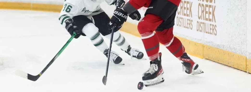 В NHL 25 появится женская хоккейная лига